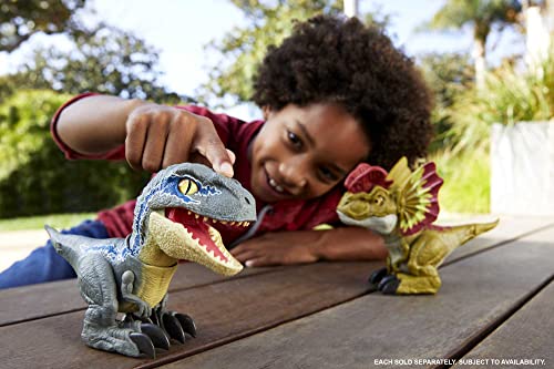 Figurina Jurassic World, Mattel GWY55, 4 ani+