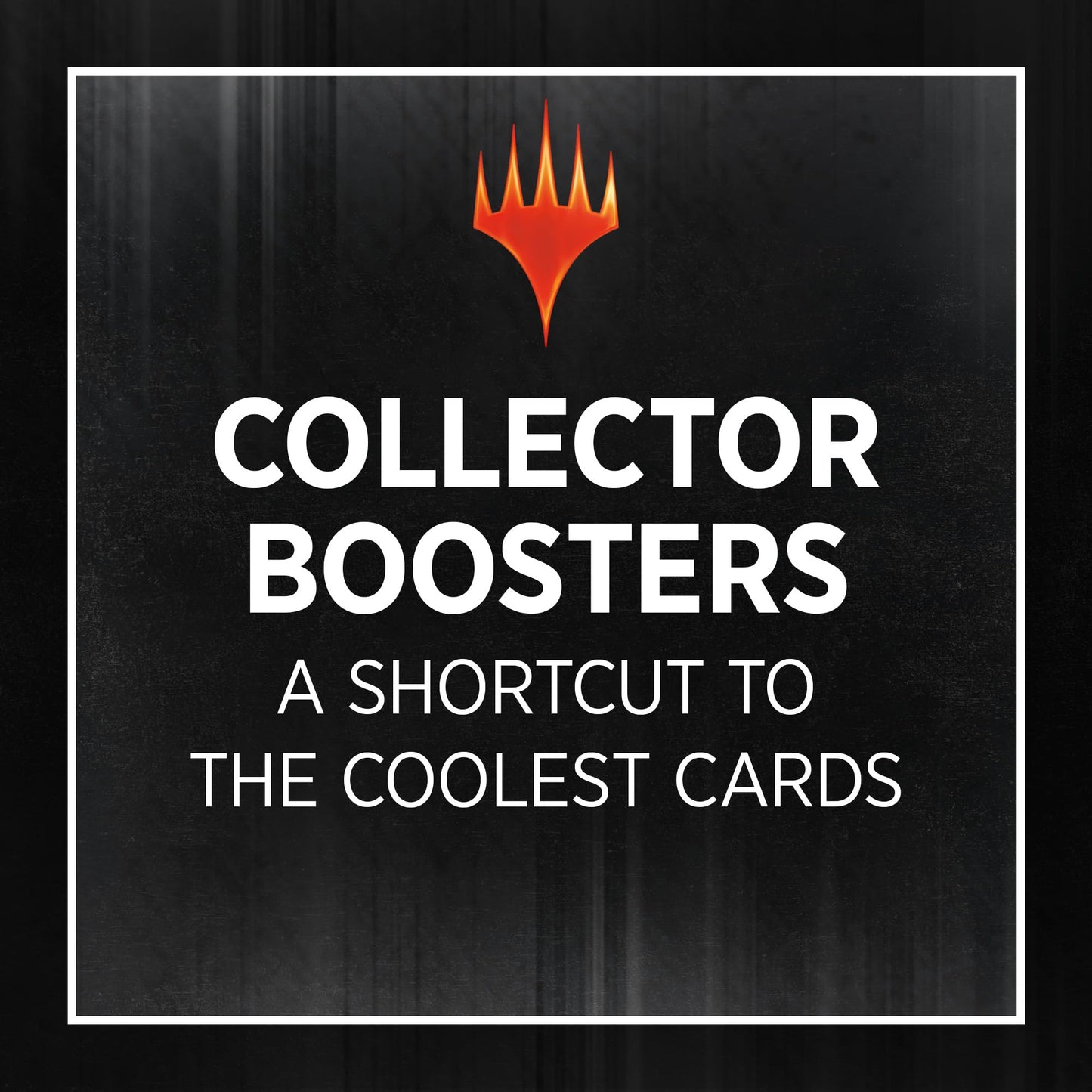 Magic The Gathering Wilds of Eldraine Collector Booster