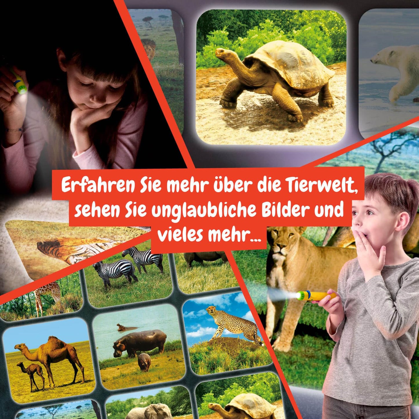 Lampa Proiector cu Animale Science4you pentru Copii de 4+ Ani - Jucărie Educațională cu 24 de Imagini și Poster cu Animale - Cadou Științific pentru Copii