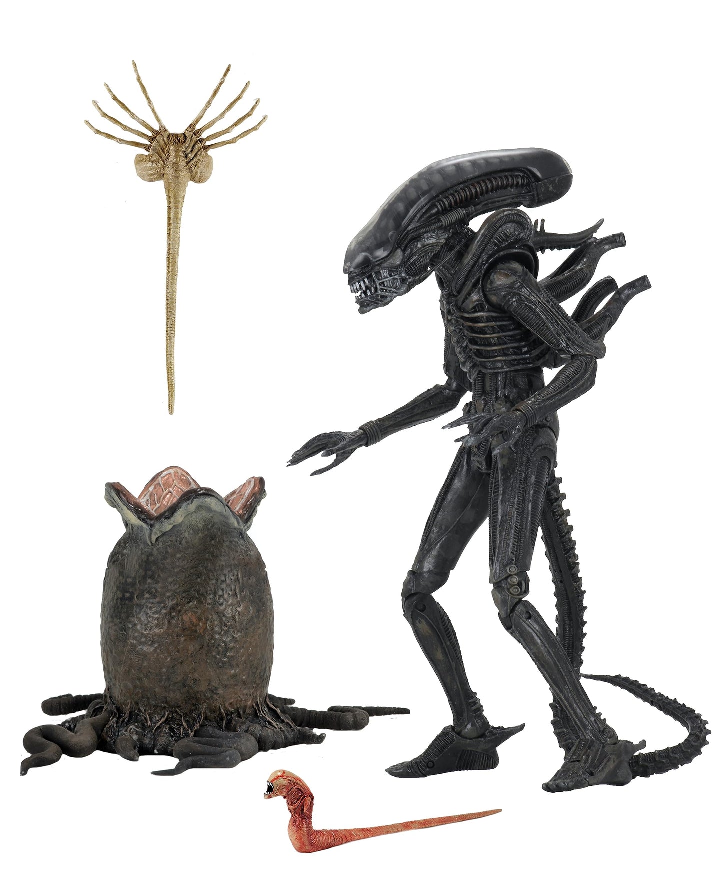 Figurina de acțiune NECA 634482516461 NECA51646
