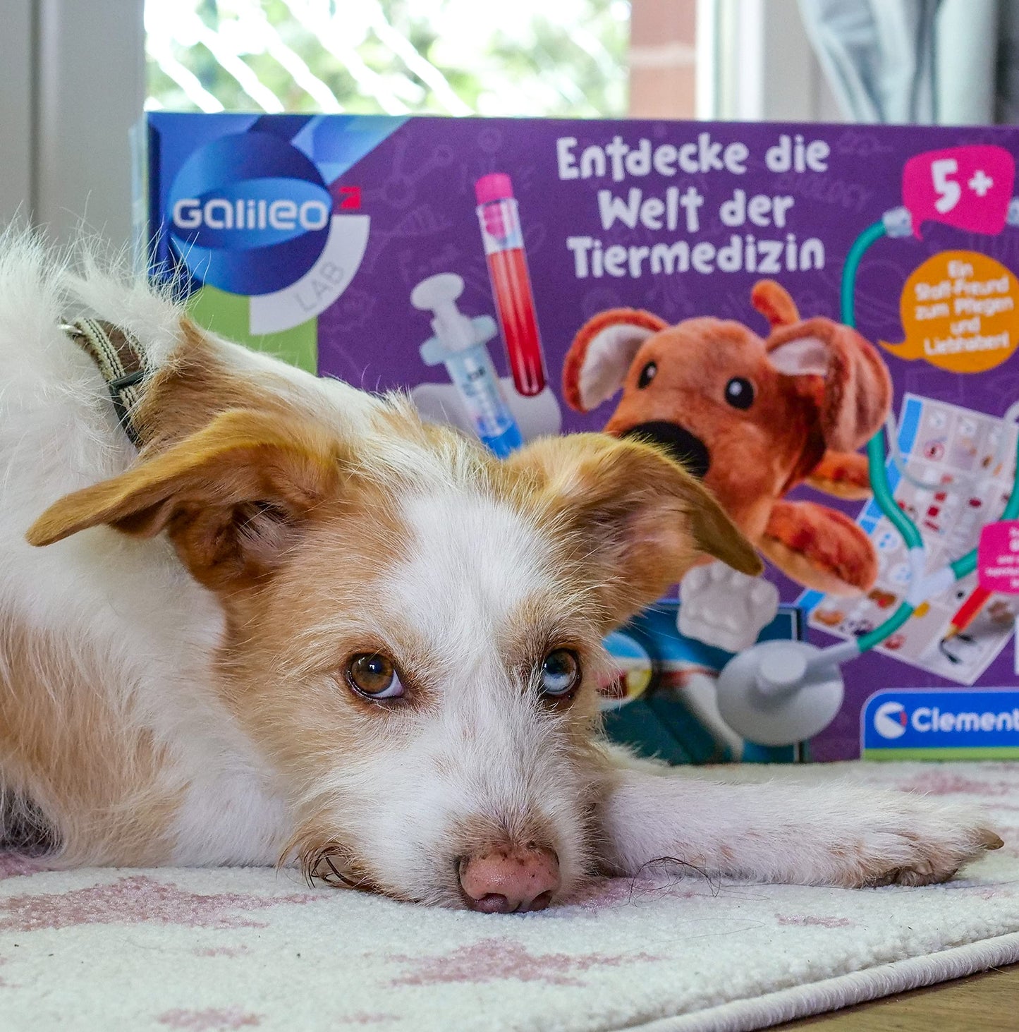 Clementoni Galileo Lab – Descoperă lumea medicinei veterinare, set de joc captivant cu multe ustensile și informații utile, pentru viitorii veterinari de la 5 ani, Clementoni 59262