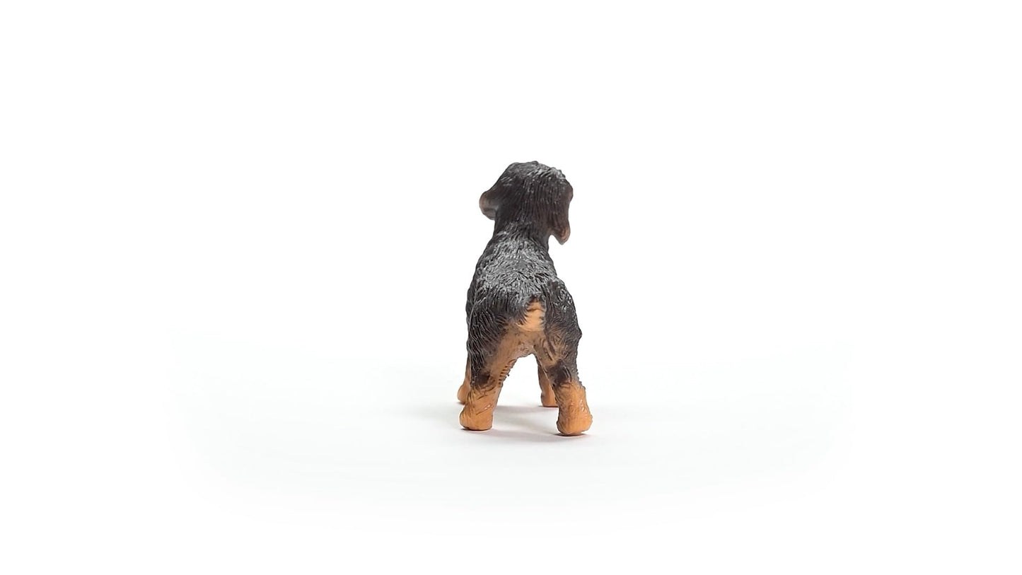 Schleich 13972 Figurina Rauhaardackel, Farm World, 3+ ani