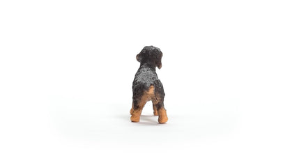 Schleich 13972 Figurina Rauhaardackel, Farm World, 3+ ani