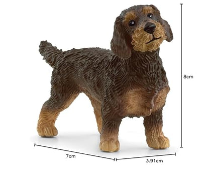 Schleich 13972 Figurina Rauhaardackel, Farm World, 3+ ani