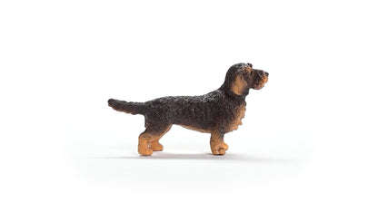 Schleich 13972 Figurina Rauhaardackel, Farm World, 3+ ani