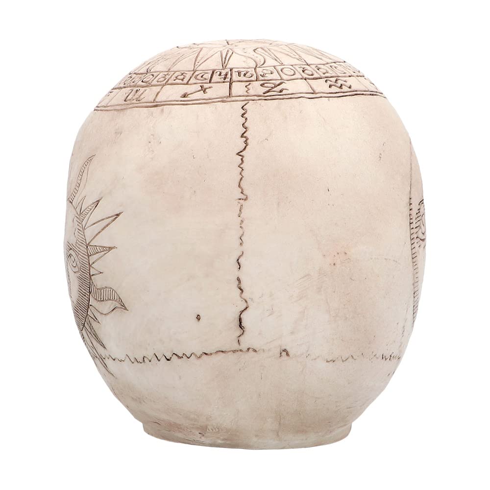Boland Pc. Skull Astronomy Figurină decorativă craniu 20 cm (beige)