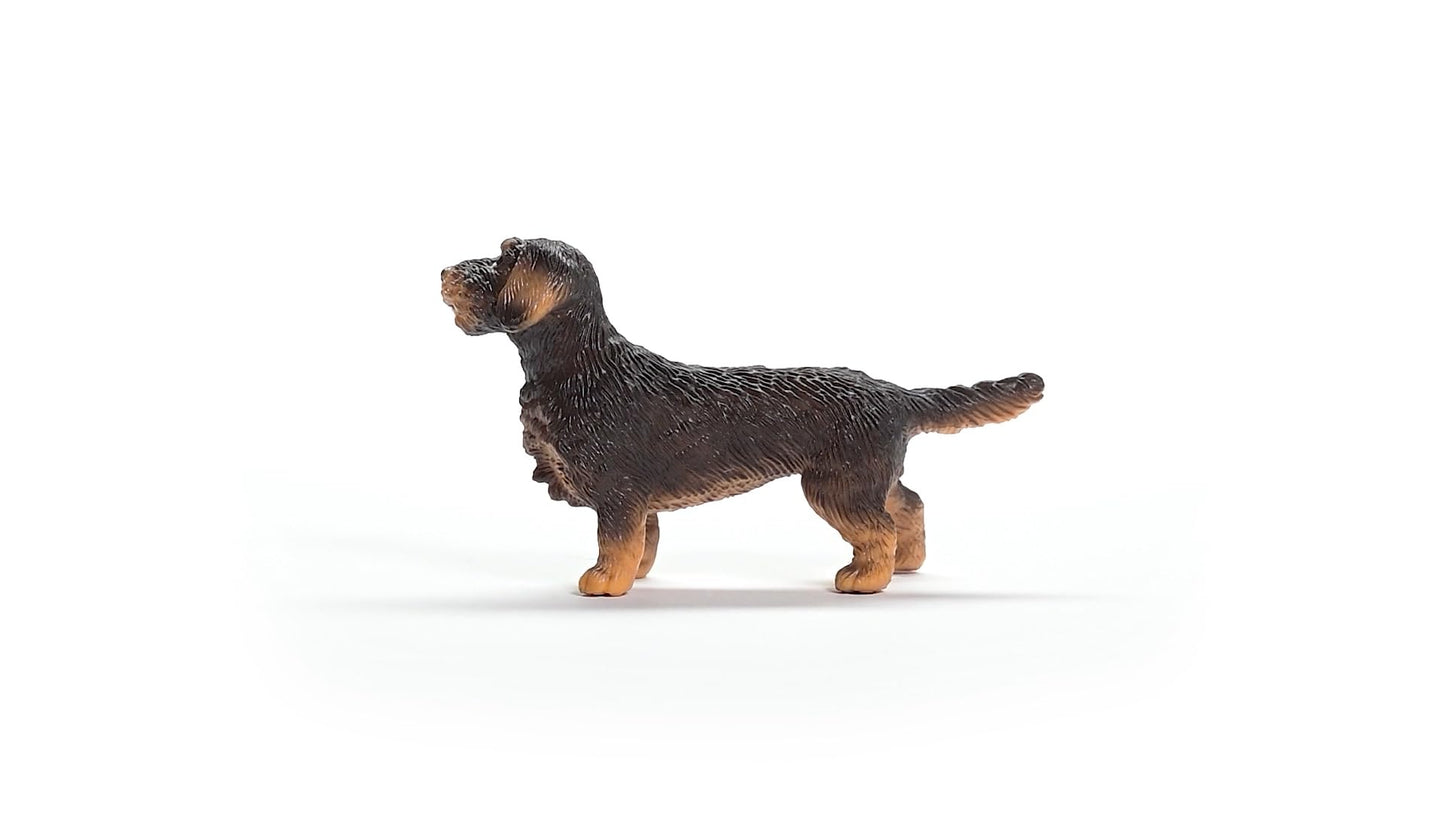 Schleich 13972 Figurina Rauhaardackel, Farm World, 3+ ani