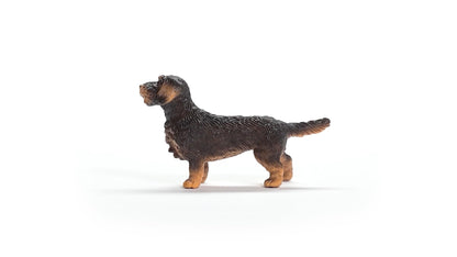 Schleich 13972 Figurina Rauhaardackel, Farm World, 3+ ani