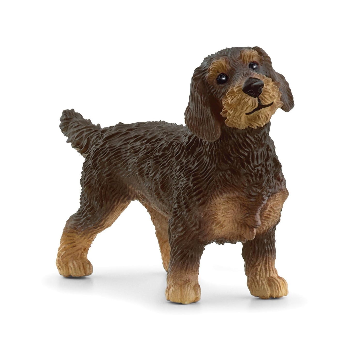 Schleich 13972 Figurina Rauhaardackel, Farm World, 3+ ani