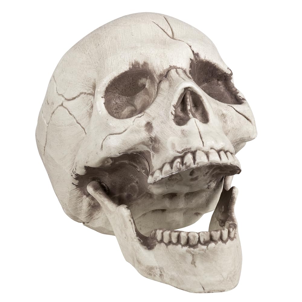 Boland 74378 Set decorativ Craniu cu maxilar mobil pentru Halloween și petreceri tematice