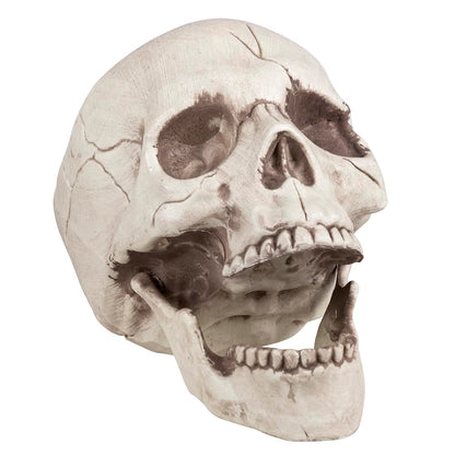 Boland 74378 Set decorativ Craniu cu maxilar mobil pentru Halloween și petreceri tematice