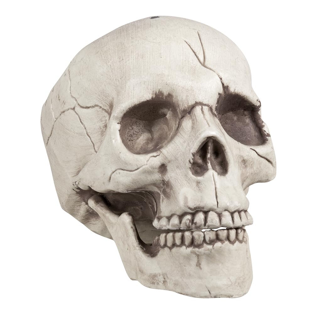 Boland 74378 Set decorativ Craniu cu maxilar mobil pentru Halloween și petreceri tematice