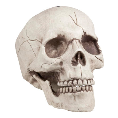 Boland 74378 Set decorativ Craniu cu maxilar mobil pentru Halloween și petreceri tematice