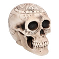 Boland Pc. Skull Astronomy Figurină decorativă craniu 20 cm (beige)