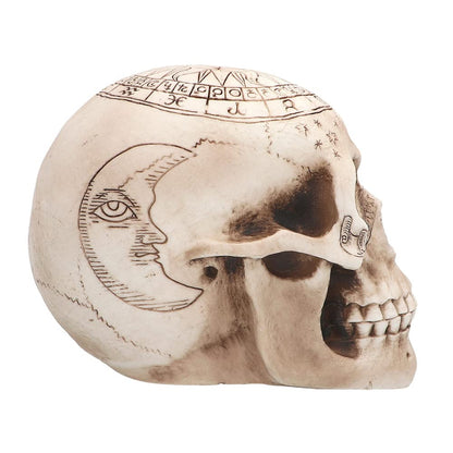Boland Pc. Skull Astronomy Figurină decorativă craniu 20 cm (beige)