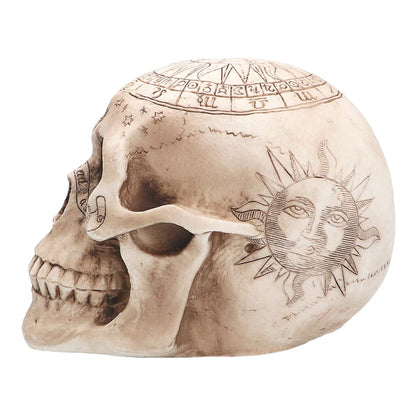 Boland Pc. Skull Astronomy Figurină decorativă craniu 20 cm (beige)