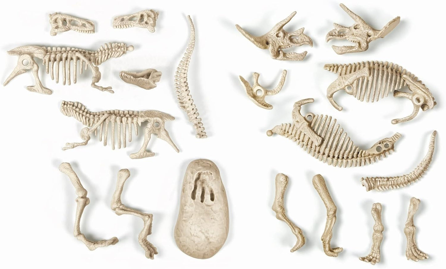 Clementoni – a1503085 – Joc Științific – T-Rex și Triceratops