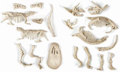 Clementoni – a1503085 – Joc Științific – T-Rex și Triceratops