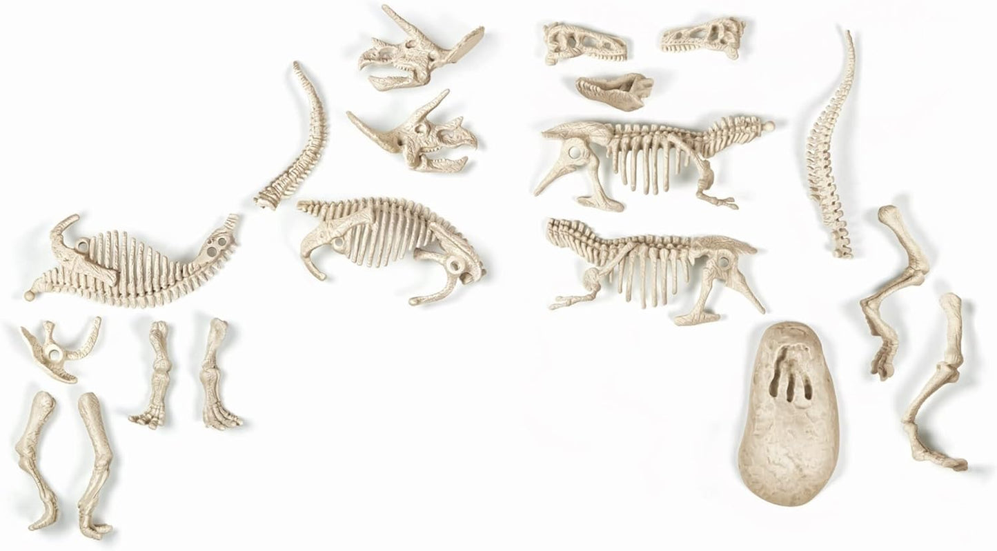 Clementoni – a1503085 – Joc Științific – T-Rex și Triceratops