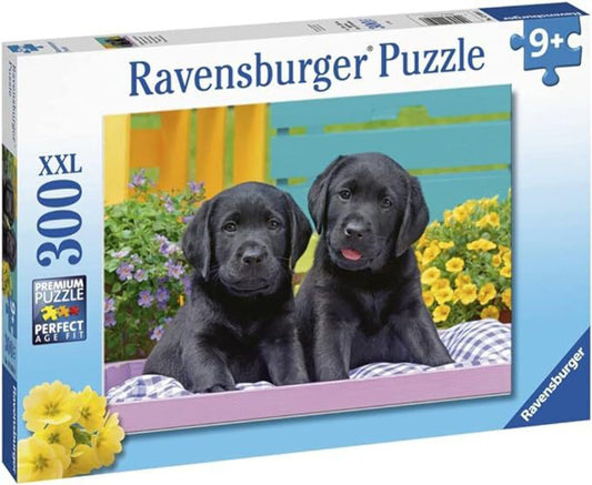 Puzzle Catelusi, 300 Piese - Ravensburger