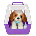 Little Live Pets Catel Interactiv Patches, 60+ sunete