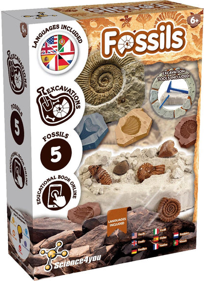 Science4you Fossilien Set de fosile pentru copii Palentologie cu 5 fosile incredibile de la 6 ani