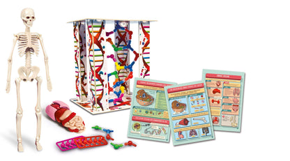 Clementoni Galileo Lab Set Mini Corpul Uman - Jucărie pentru Înțelegerea Anatomiei cu Organe & Schelet - Set de Experimente pentru Copii de la 8 Ani de la Clementoni 69489