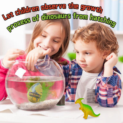 Zoelele Set 6 Ouă Surpriză Dinozauri, eclozare în apă