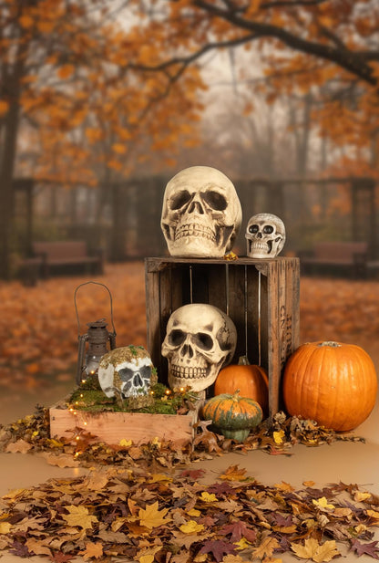 Boland Pc. Skull Astronomy Figurină decorativă craniu 20 cm (beige)