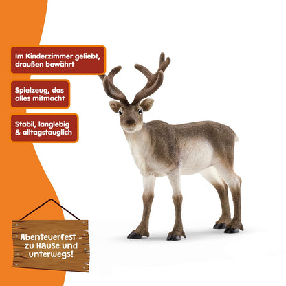 Schleich WILD Life Set de figurine animale Rentier detaliat 3+ ani