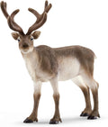 Schleich WILD Life Set de figurine animale Rentier detaliat 3+ ani