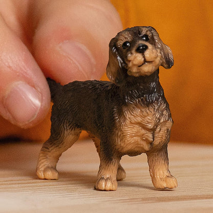 Schleich 13972 Figurina Rauhaardackel, Farm World, 3+ ani
