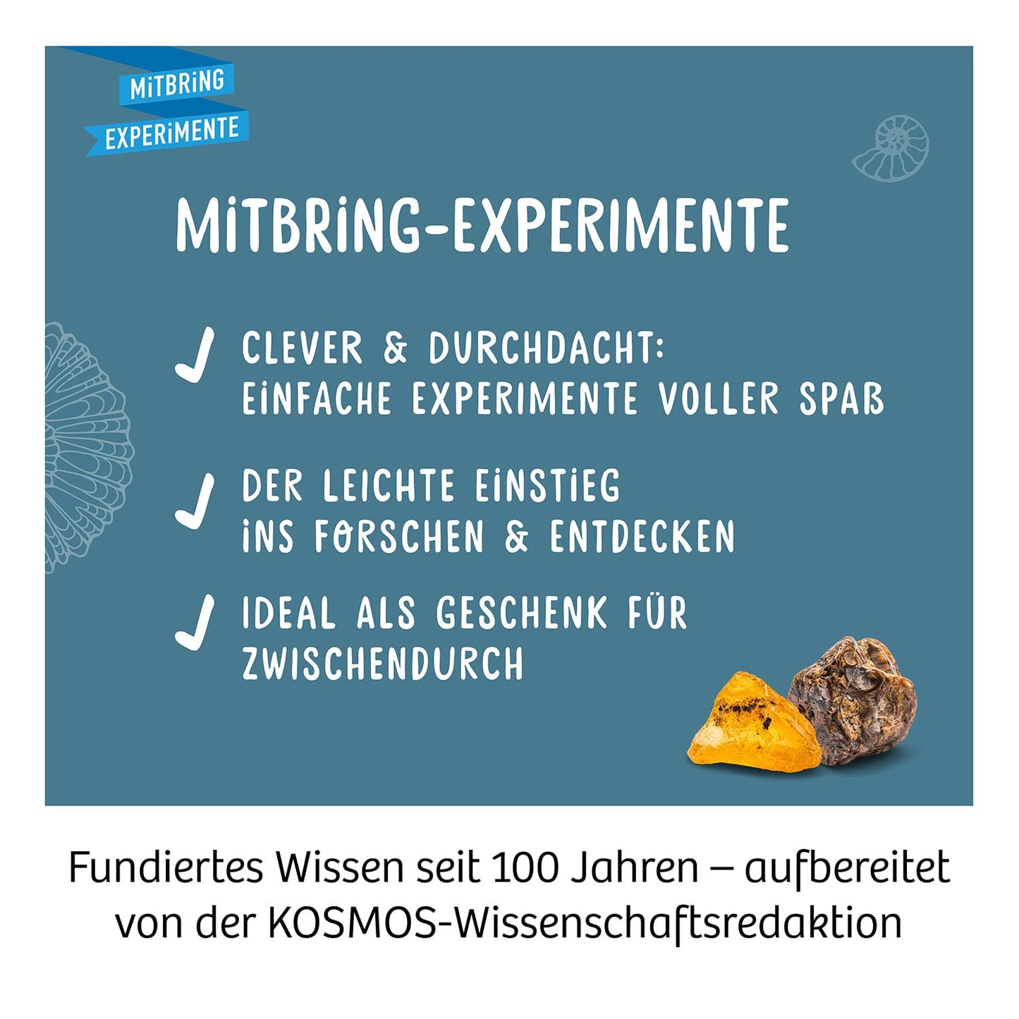 Set de Excavare Fosile KOSMOS 657918, Descoperă Versteinerări și Chihlimbar cu Ciocan și Dălti, Experiment pentru Copii de la 7 Ani