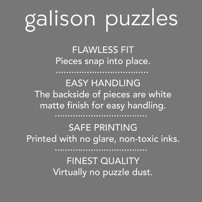 Galison Stitch By Stitch Puzzle 1000 piese