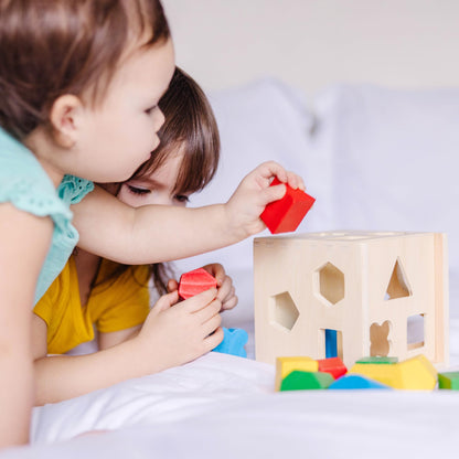 Melissa & Doug Cub de sortare a formelor | Jucărie educativă | Sortator de forme pentru copii | 2+ | Cadou pentru băieți sau fete