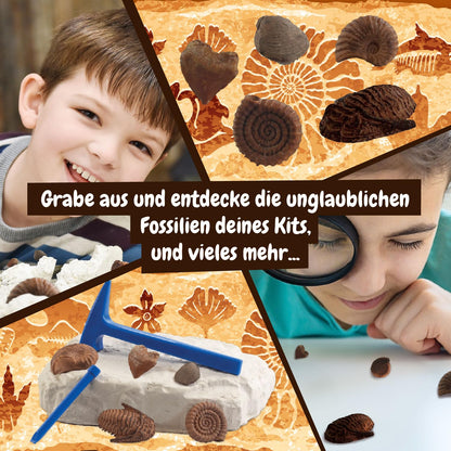 Science4you Fossilien Set de fosile pentru copii Palentologie cu 5 fosile incredibile de la 6 ani