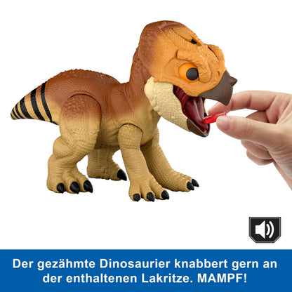 Mattel Jurassic World Primal Protector Aquilops Dolores Figurină interactivă de dinozaur cu mișcări de atac și sunete de răget, accesoriu alimentar, de la 4 ani