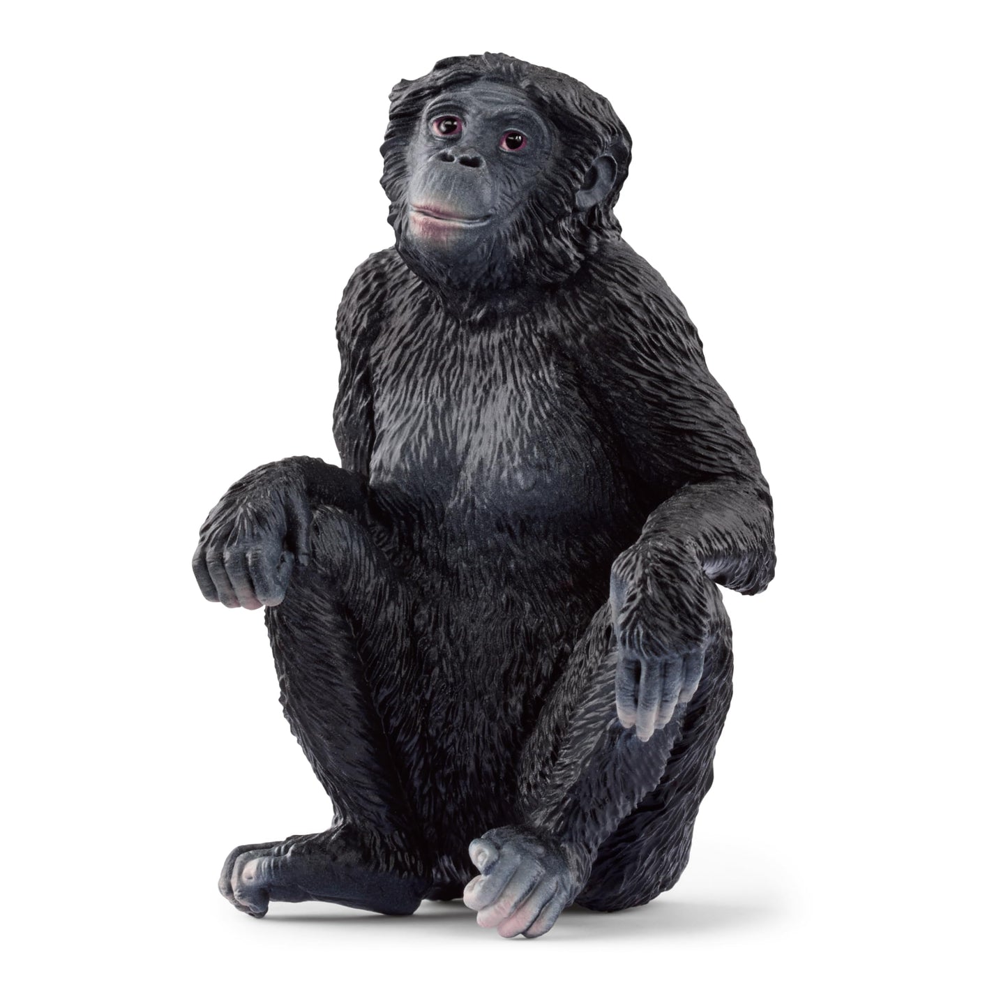 Schleich Wild Life Set de figurină animale sălbatice 5 piese de la 3 ani