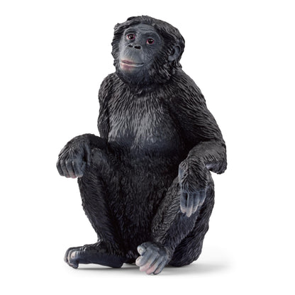 Schleich Wild Life Set de figurină animale sălbatice 5 piese de la 3 ani
