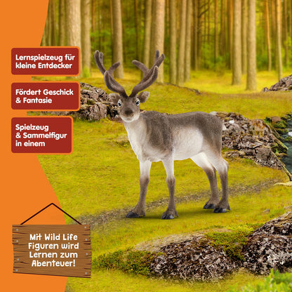 Schleich WILD Life Set de figurine animale Rentier detaliat 3+ ani