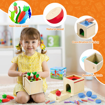 Cooljoy Jucărie Montessori 4 în 1 Cules Morcovi, 1+ ani