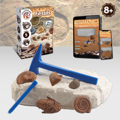 Science4you Fossilien Set de fosile pentru copii Palentologie cu 5 fosile incredibile de la 6 ani
