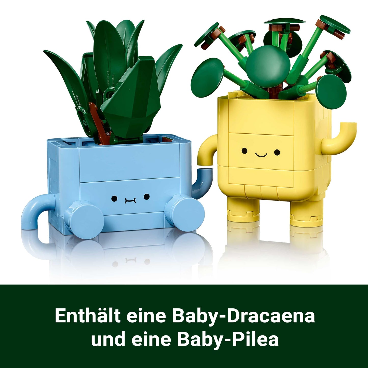 LEGO 10349 Botanicals Plante Vesele, ghivece decorative, 9+