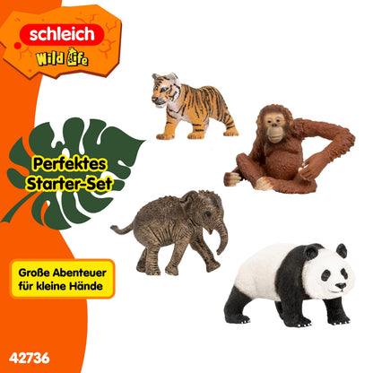 Schleich WILD LIFE Asien Set de pornire cu 4 piese cu elefant, panda, tigru și maimuță cu braț mobil pentru copii de la 3 ani
