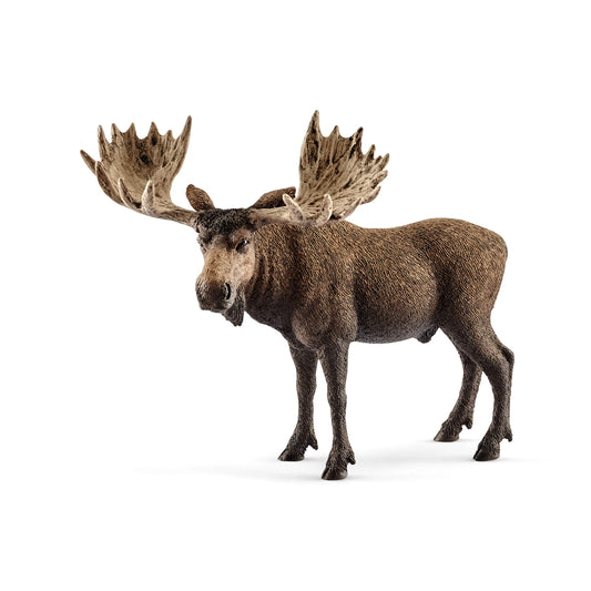 Schleich 14781 Figurina Ren Wild Life, 3+ ani