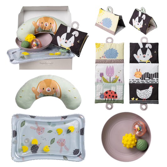 Taf Toys Tummy Time Kit Set de joacă pentru timpul pe burtă pentru bebeluși de la naștere