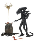 NECA Figurină Aliens Xenomorph 7'', 51646