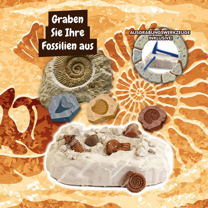Science4you Fossilien Set de fosile pentru copii Palentologie cu 5 fosile incredibile de la 6 ani