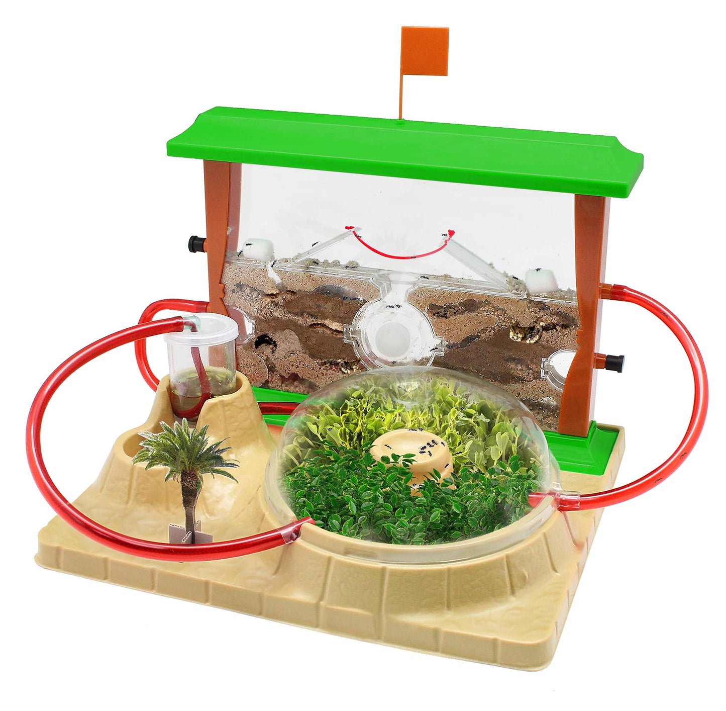 Cefa Toys 21851 Habitat Furnici acvatic-terestru, 8+ ani
