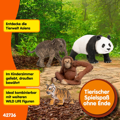 Schleich WILD LIFE Asien Set de pornire cu 4 piese cu elefant, panda, tigru și maimuță cu braț mobil pentru copii de la 3 ani